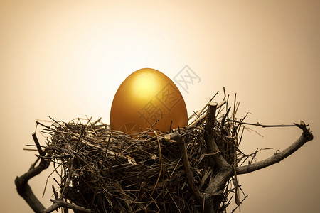 黄金地球树杈上鸟窝里的金蛋背景