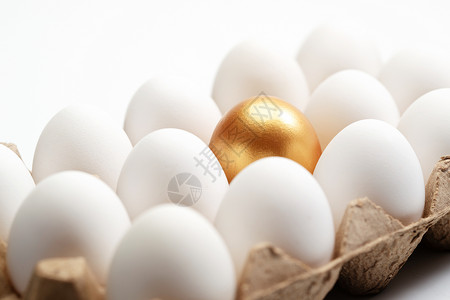纸盒设计素材一盒鸡蛋中的金蛋背景