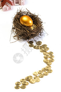 地球道路鸟巢里的金蛋和金币铺成的路背景