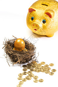 存钱罐和鸟巢里的金币金蛋高清图片