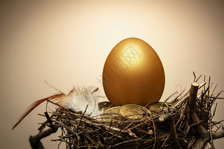 金色羽毛素材鸟窝里的金蛋和金币和羽毛背景