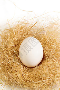 草窝里的鸡蛋背景图片