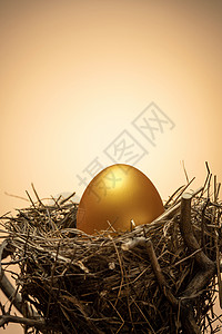 黄金地球理财生长财富树杈上鸟窝里的金蛋背景