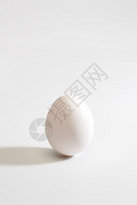 白色背景下的一个鸡蛋图片