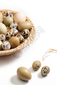一筐鸡蛋和鹌鹑蛋背景图片