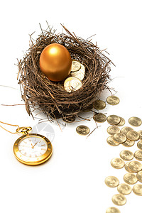 秒表设计素材鸟窝里的金蛋金币和怀表背景
