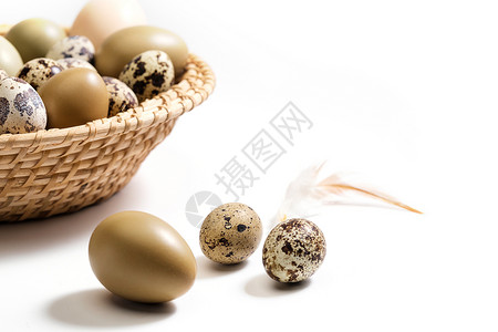 一筐鸡蛋鸭蛋鹌鹑蛋和羽毛背景图片