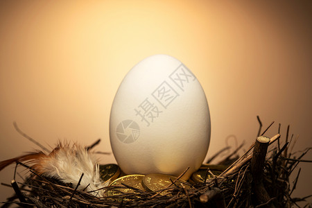 黄金地球鸟窝里的蛋和金币和羽毛背景