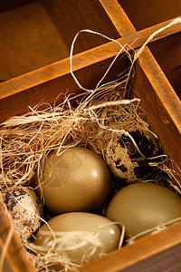 圆形木格容器里的鸡蛋和鹌鹑蛋图片