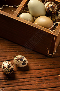 容器里的蛋和桌子上的鹌鹑蛋背景图片