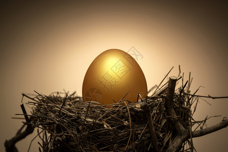 全球财政树枝上鸟窝里的金蛋背景