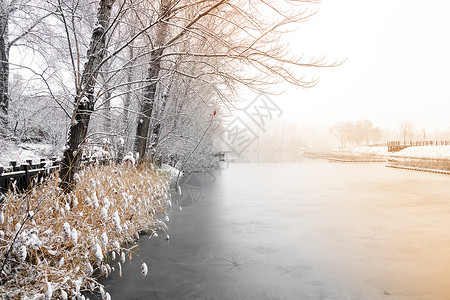 大雪后的公园下雪后的湖边和山上风景背景