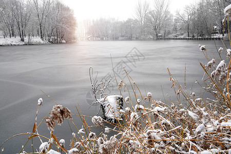 白色雪花飘落下雪后的湖边和山上风景背景