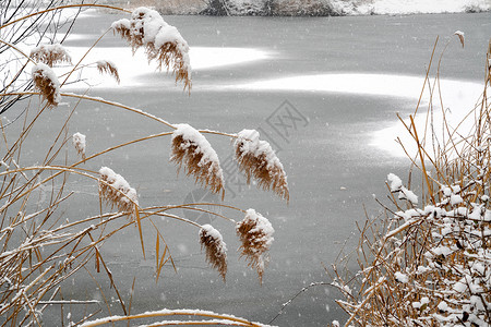 雪花飘落素材下雪后的湖边和山上风景背景