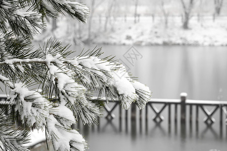 小清新小寒节气插画立冬二十四节气环境大雪后的景象背景