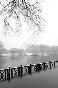 河岸栈道立冬二十四节气环境大雪后的景象背景