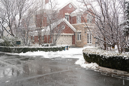花园雪景立冬二十四节气环境大雪后的景象背景