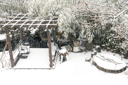 冬天我后院立冬二十四节气环境大雪后的景象背景