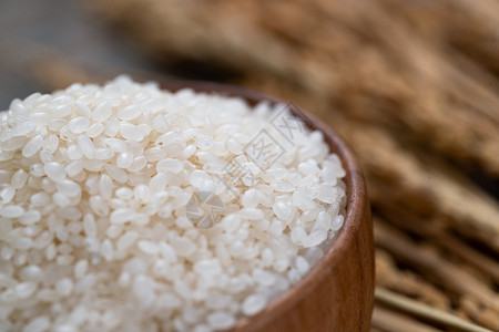 膳食饮食丰收一碗大米和水稻图片