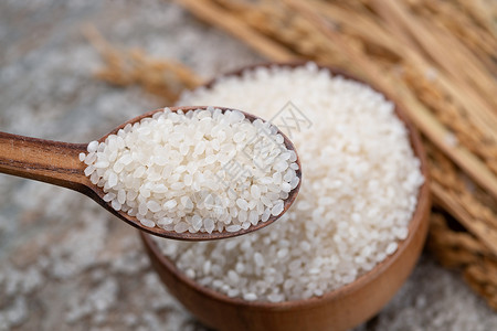 一木一浮生一木匙大米和一碗大米背景