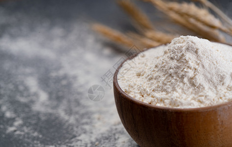 粉耳朵白猫纯天然有机食品一碗面粉和麦穗背景