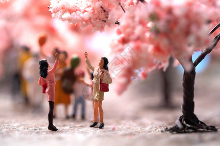 樱花树下的游客高清图片