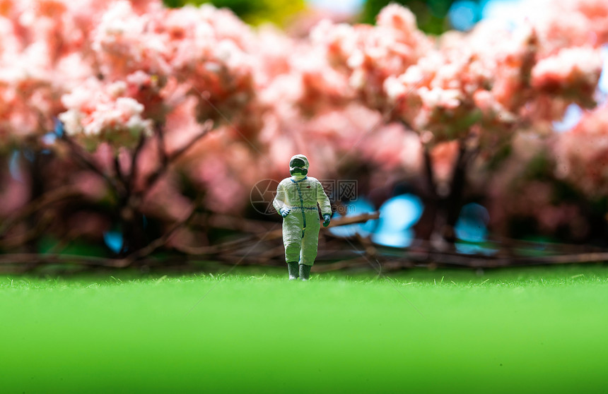 樱花树下站在草地上的医护人员图片