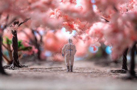 樱花树下的医护人员的背影图片