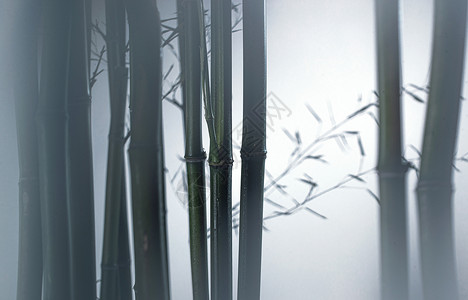 美景树干自然美雾色中的竹林图片