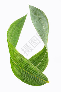 花草免抠素材有机食品绿色粽叶背景