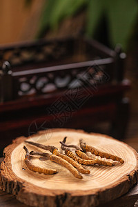 年轮木纹多样元素古典式中草药背景