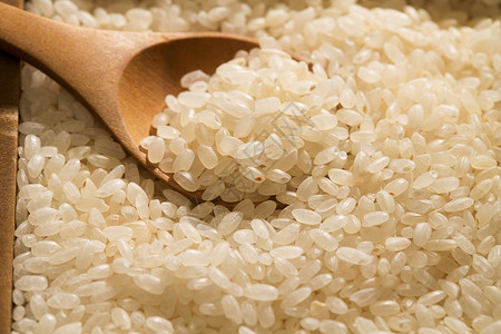 新生态东方好品质美味大米背景