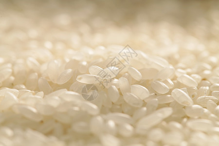 饱满米粒颗粒感水平构图晶莹剔透大米背景