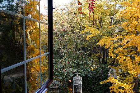 季节特征从窗户看庭院中的美景背景