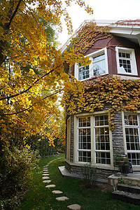 秋天的私家别墅背景图片