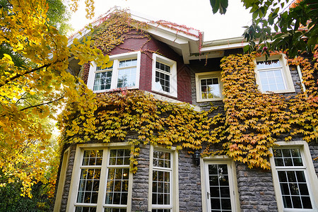 秋天的私家别墅图片