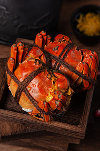 蒸好的螃蟹红色大螃蟹高清图片