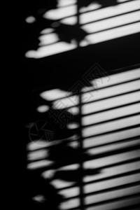 格子窗户窗户映到墙壁上的影子背景