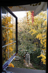 秋天从窗户看庭院中的美景图片
