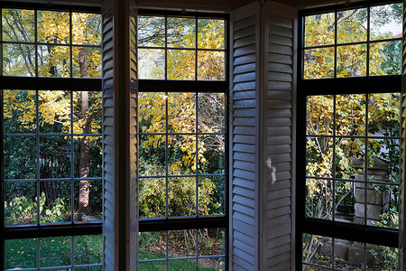 简约树装饰从窗户看庭院的美景背景