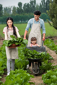 抱着食物女孩东方三口之家庭采摘蔬菜背景