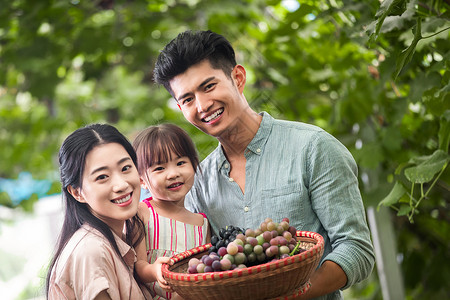 幸福夫妇在采摘蔬果高清图片