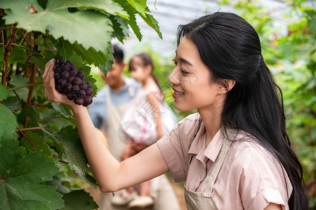 抱着水果的女孩幸福夫妇在采摘蔬果背景