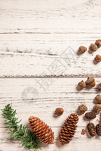 木板橡树果摄影圣诞节静物背景图片