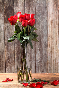 花卉玫瑰花摄影红玫瑰图片