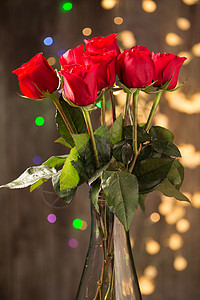 约会气氛植物红玫瑰图片