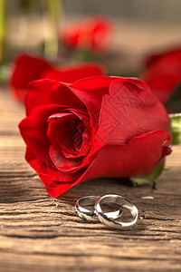 木制的戒指浪漫情人节静物背景图片
