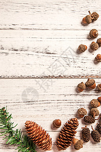 素材橡子橡树果圣诞节静物背景图片