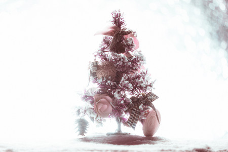 冬天雪景覆盖圣诞树背景图片