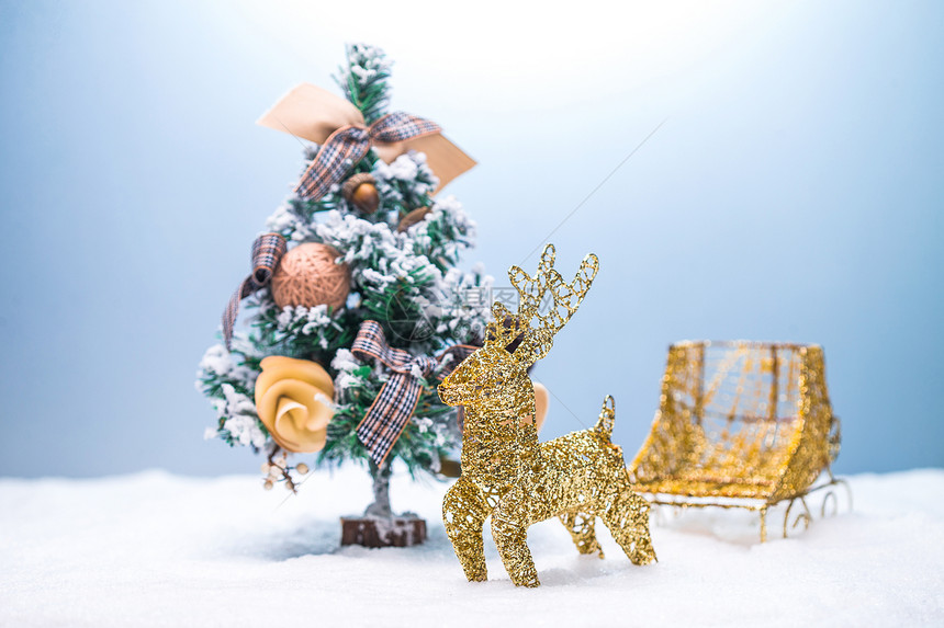 雪橇圣诞装饰物动物形象圣诞节静物图片